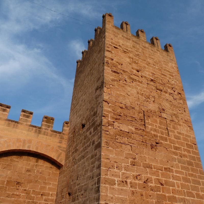 ALCUDIA-2