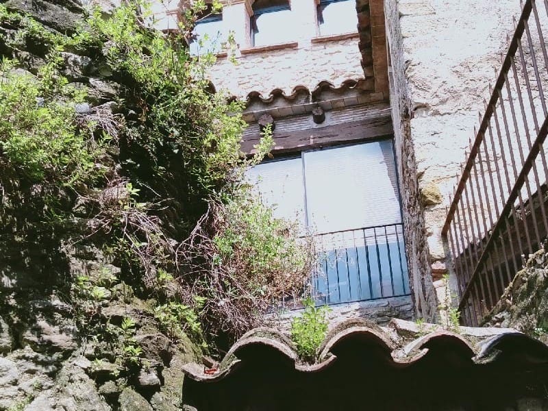 Monells-4